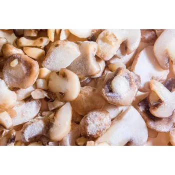 Frozen Mushrum (28)-6540665-91610.webp